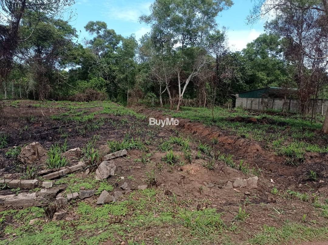 LAND FOR SALE IN DISAGEWATHTHA,KATANA,NEGOMBO