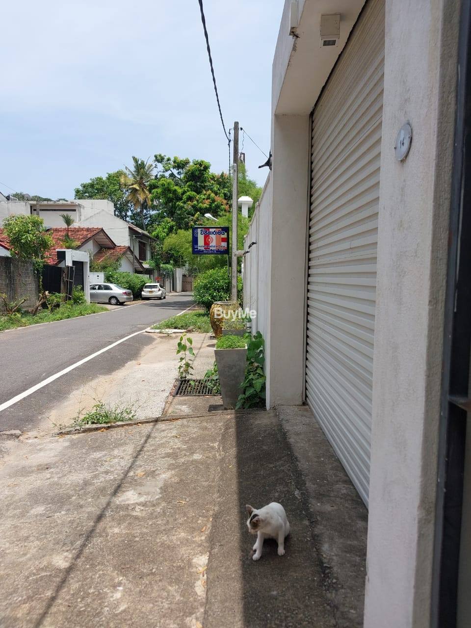 LAND WITH OLD HOUSE FOR SALE IN COLOMBO 6