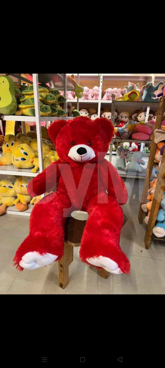 RED TEDDY BEAR