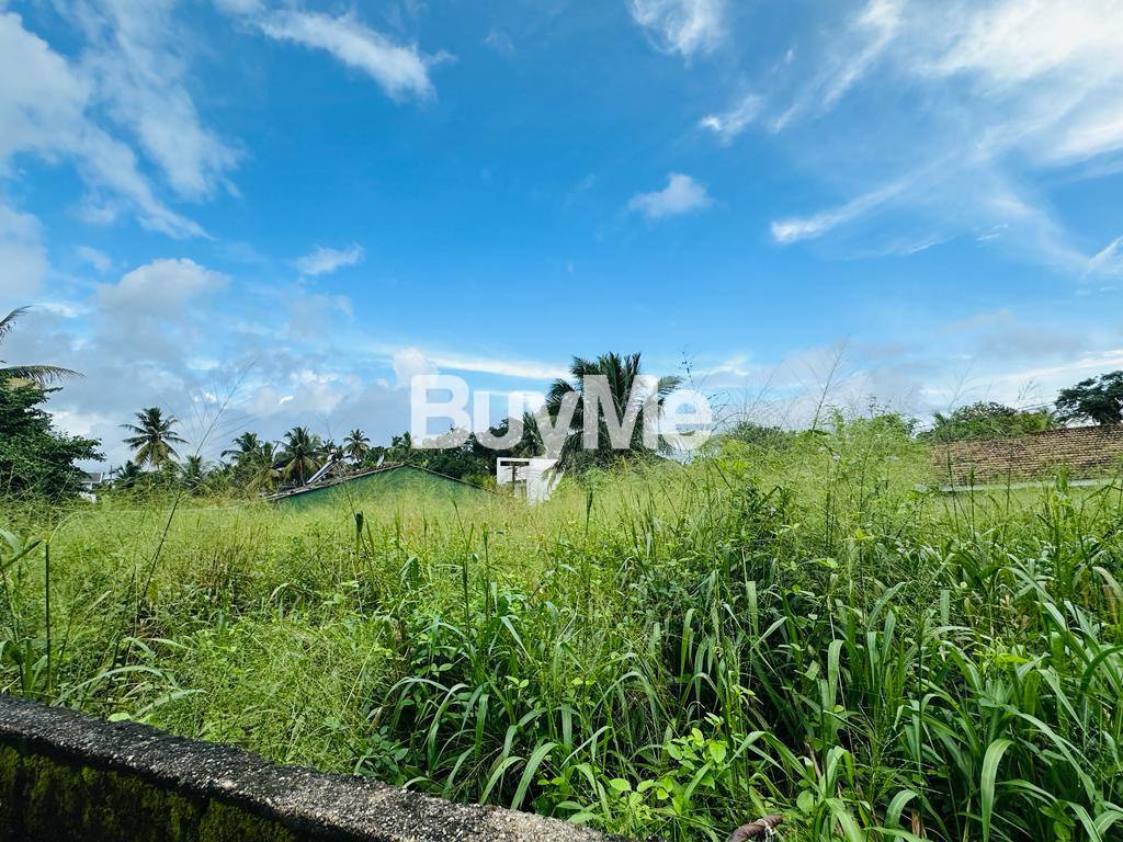 BARE LAND FOR SALE IN BATTARAMULLA PIPE ROAD HIMBUTANA - (S124)