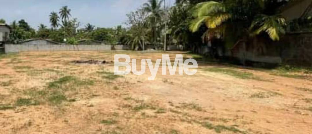 COMMERCIAL LAND FOR SALE IN EKALA, JA ELA.