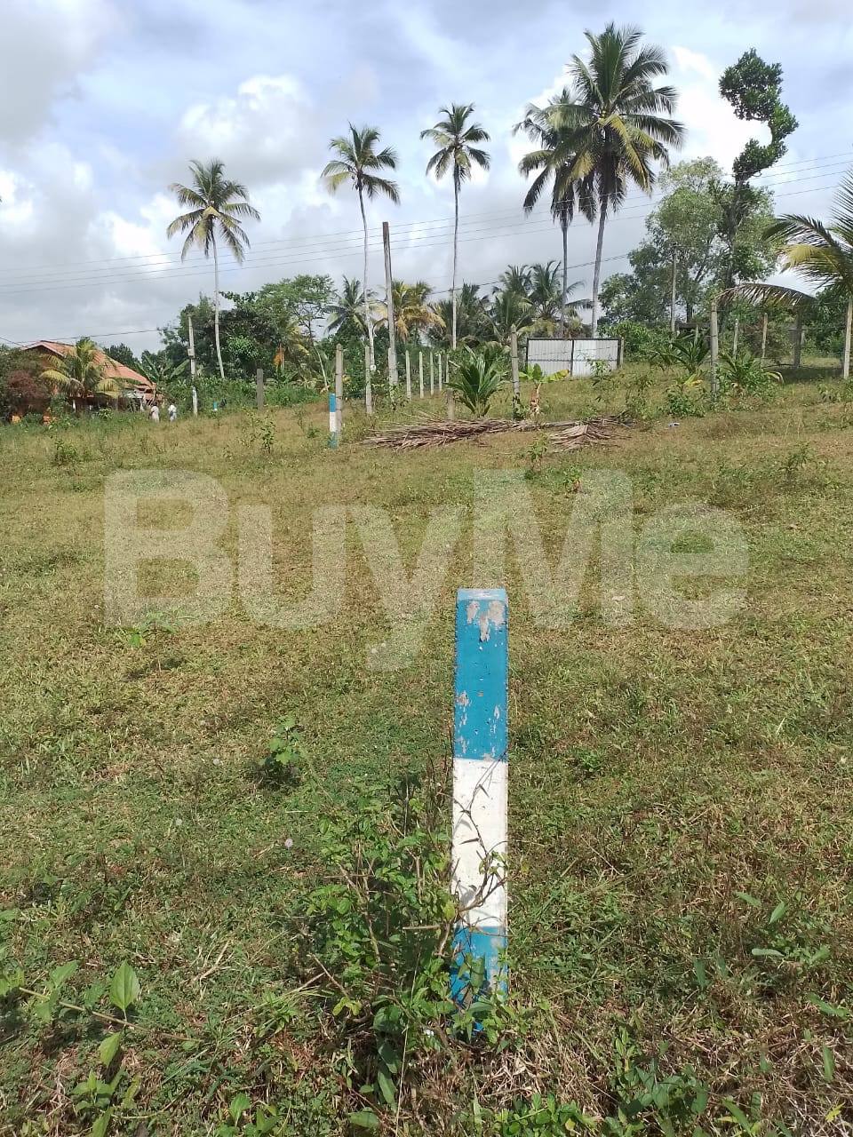 LAND FOR SALE IN PITIPANA