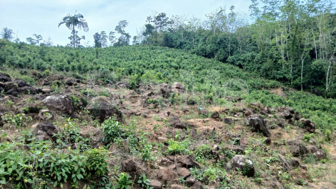 LAND FOR SALE IN NAWALEWATTA ,KIRIELLA