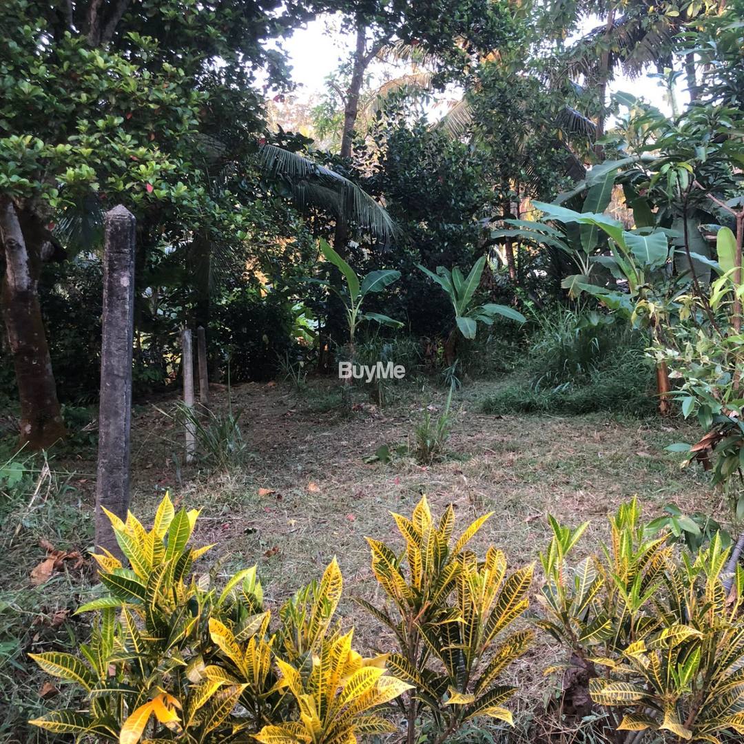 Valuable Residential Land For Sale in Godagama