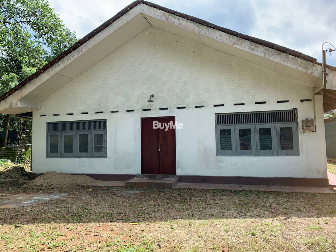 A HOUSE WITH A LARGE GARDEN ACCOMPANYING PRECIOUS TREES FOR SALE IN YAKKALA, GAMPAHA