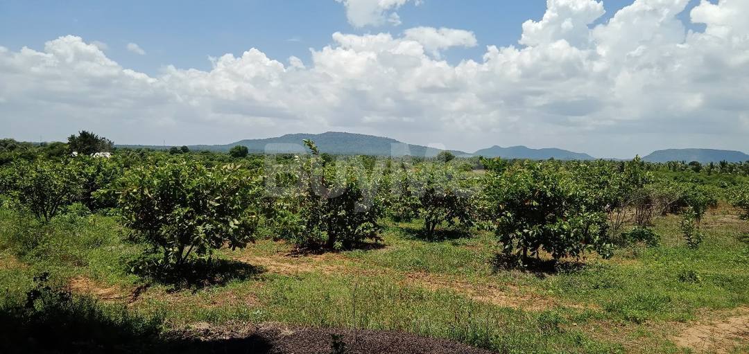 LAND FOR SALE IN THISSAMAHARAMA