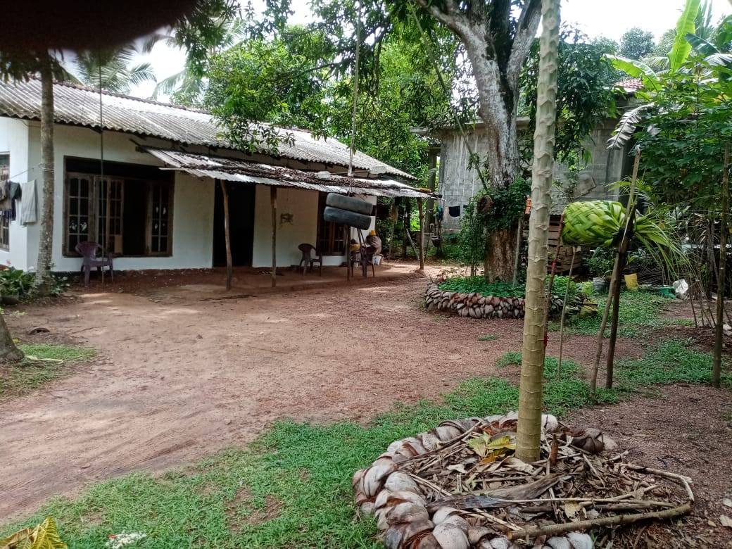 HOUSE FOR SALE IN MINUWANGODA