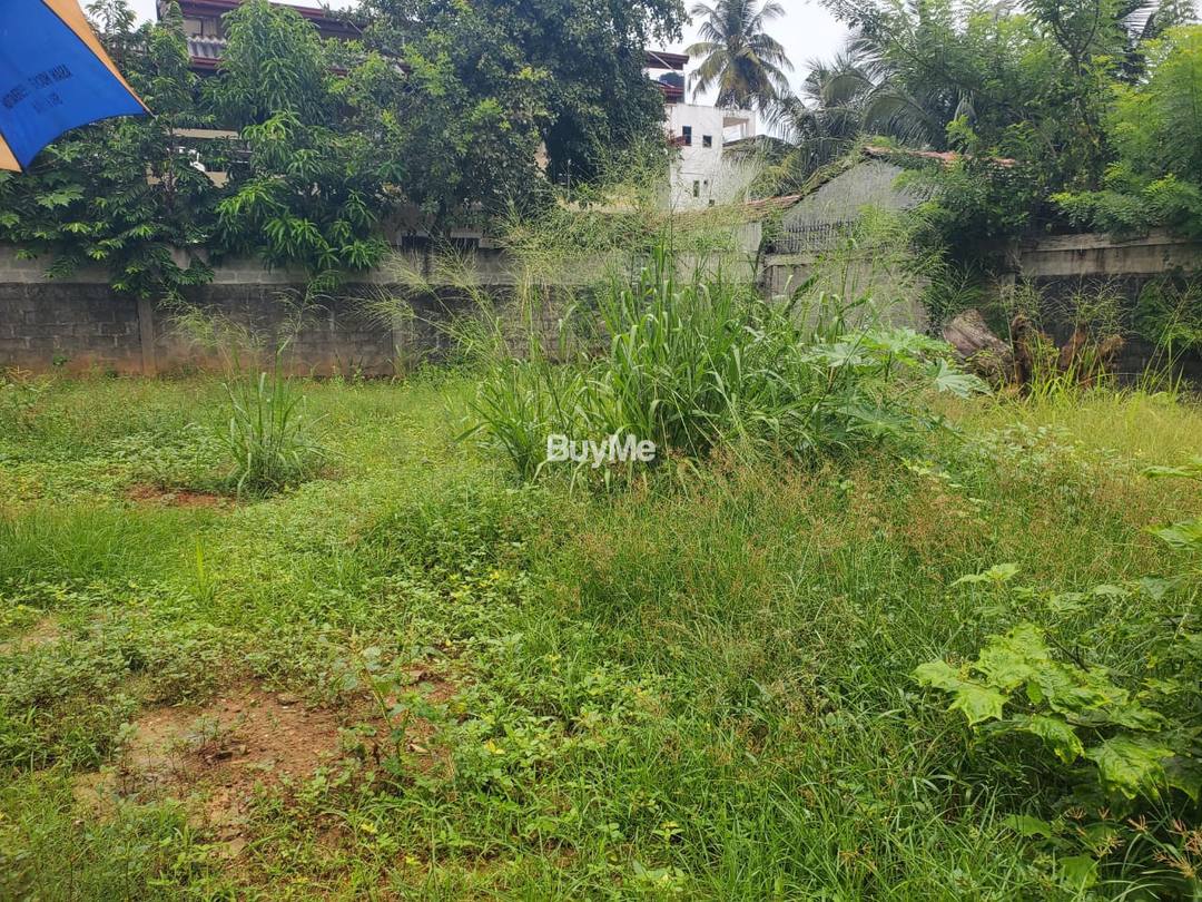 LAND FOR SALE IN COLOMBO 4.