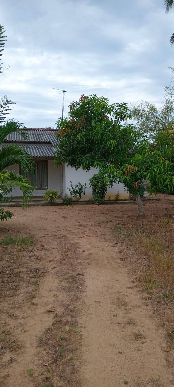 7 ACRES OF LAND FOR SALE IN MAHAOYA, AMPARA