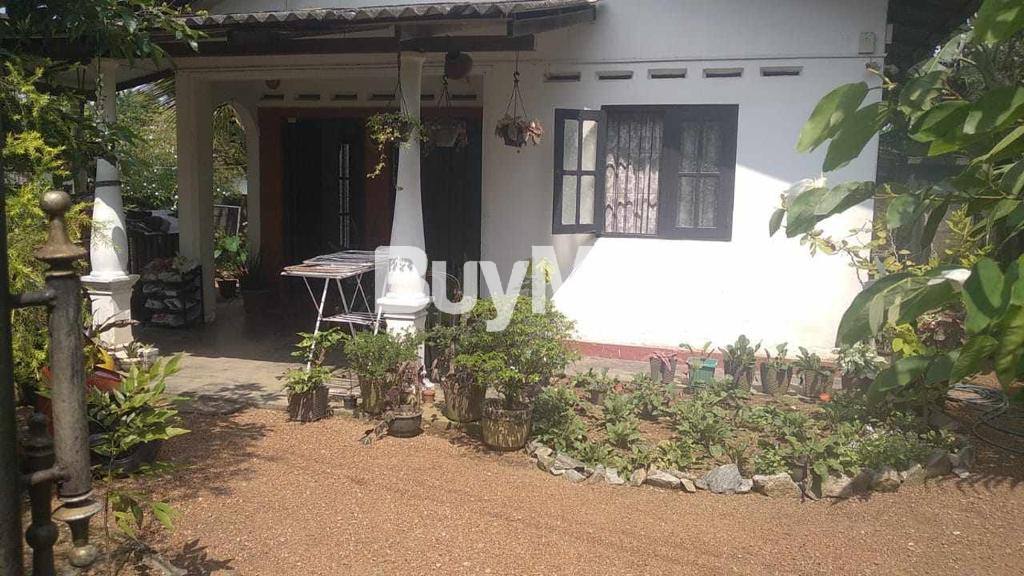 A SINGLE STOREY RESIDENTIAL HOUSE FOR SALE NEAR KAHATHUDUWA - HOMAGAMA MAIN BUS ROUTE