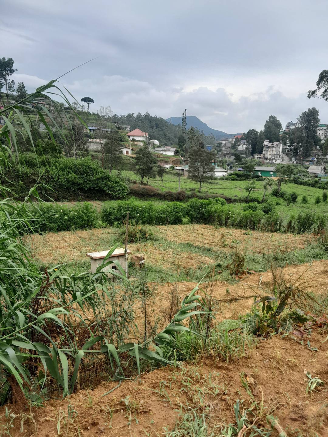 LAND FOR SALE IN NUWARA ELIYA