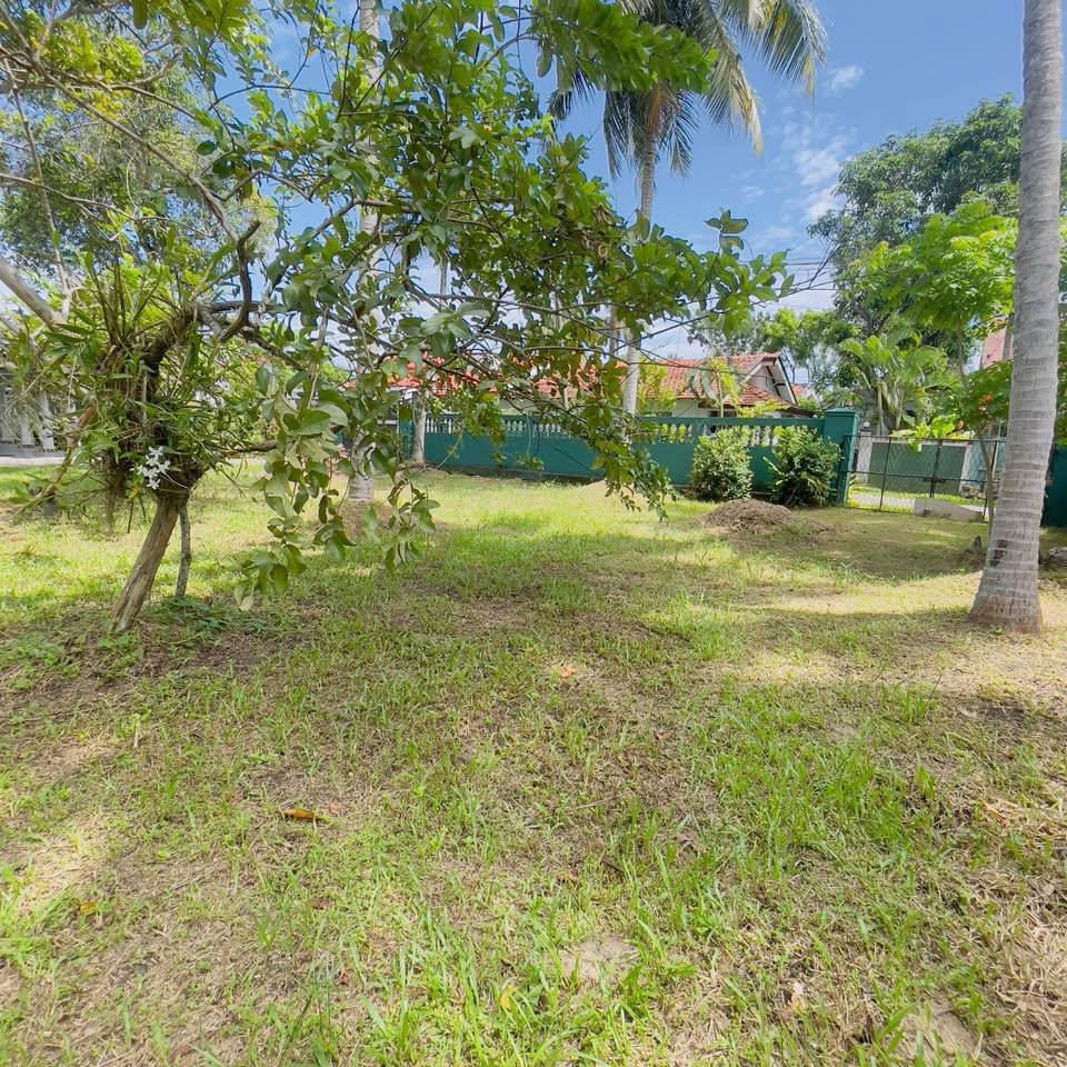 LAND FOR SALE IN NEGOMBO (THIMBIRIGASKATUWA AREA )
