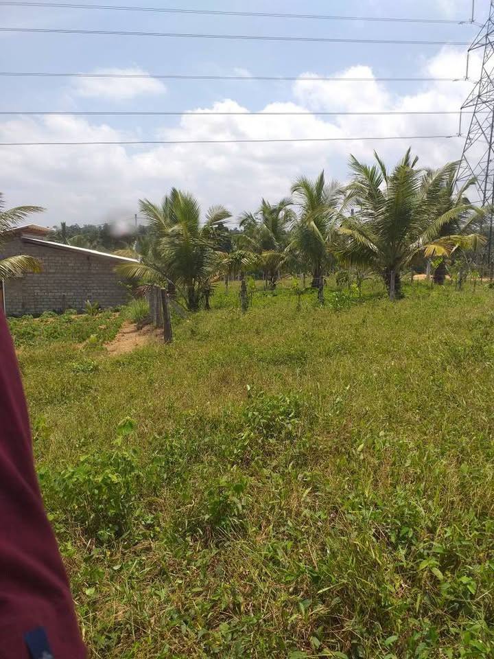 LAND FOR SALE IN HENEGAMA WILIBULA GAMPAHA