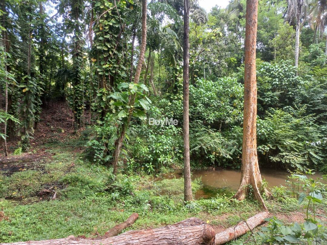 මාතර ඉහල පීක්වැල්ලෙන් අගනා ඉඩමක් ඉක්මණින් විකිණීමට
