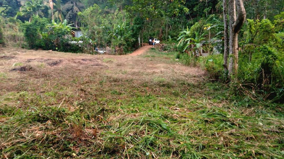 FLAT LAND FOR SALE IN WELIGALLA