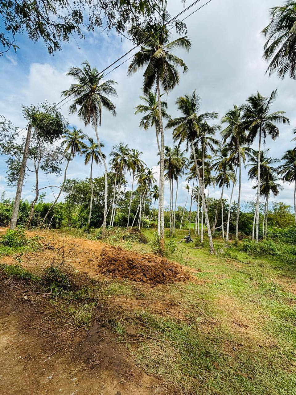 LAND FOR SALE IN WALASMULLA