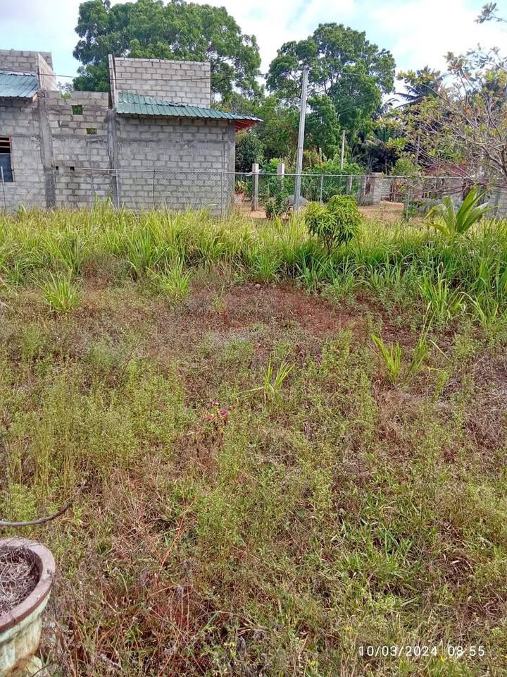 LAND FOR SALE IN MIHINTALE