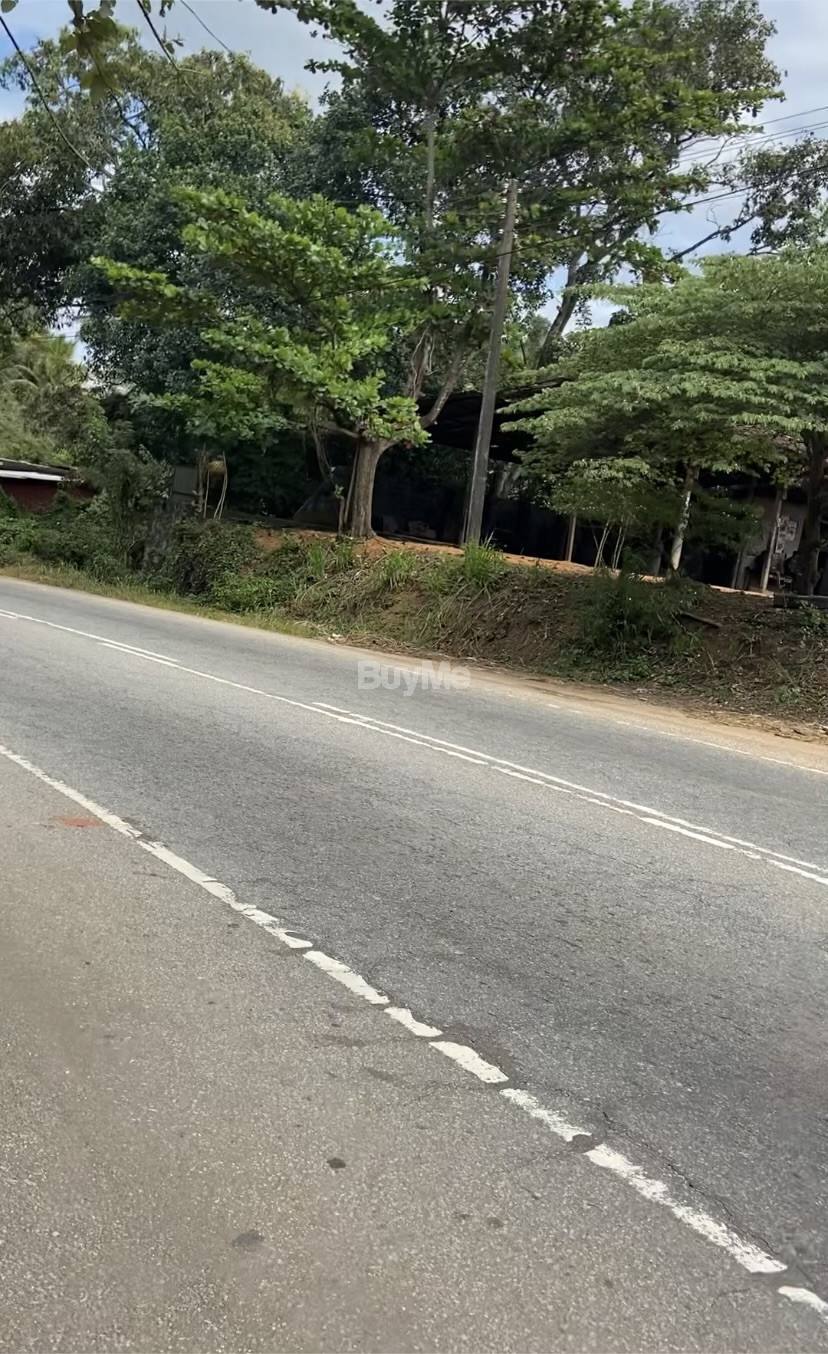 Commercial land for sale in Giriulla