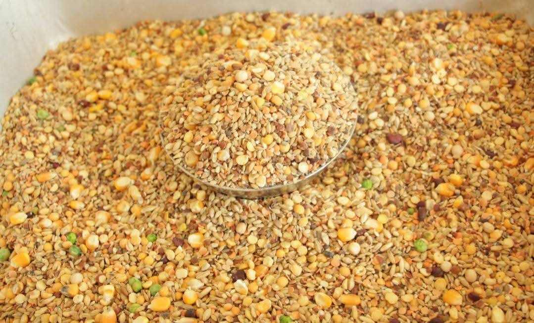 PIGEON FEED MIX FOR SALE