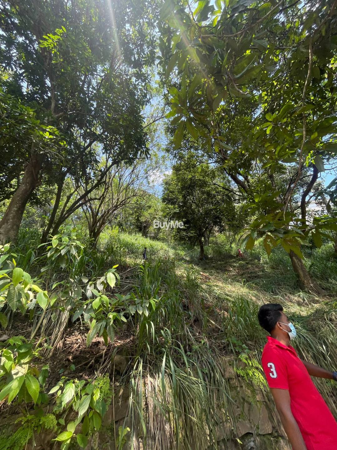 BARE LAND FOR SALE IN KANDY, MULGAMPOLA, MAHANUWARA PERADENIYA ROAD - (S302)