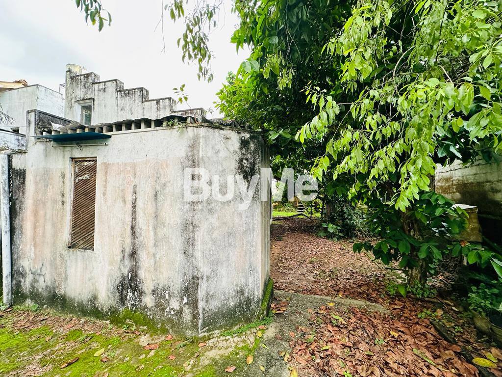 තලවතුගොඩ,පැලවත්ත පර්චස් 23.75ක හිස් ඉඩමක් විකිණීමට ඇත - (S133)