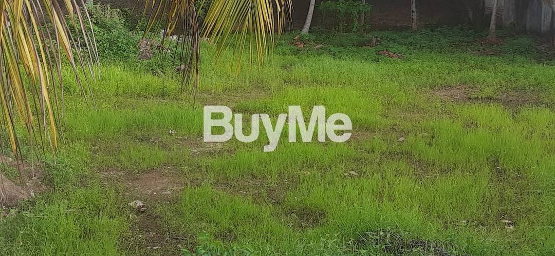 7 PERCH LAND BLOCKS FOR SALE IN RATMALANA - SIRIMAL UYANA