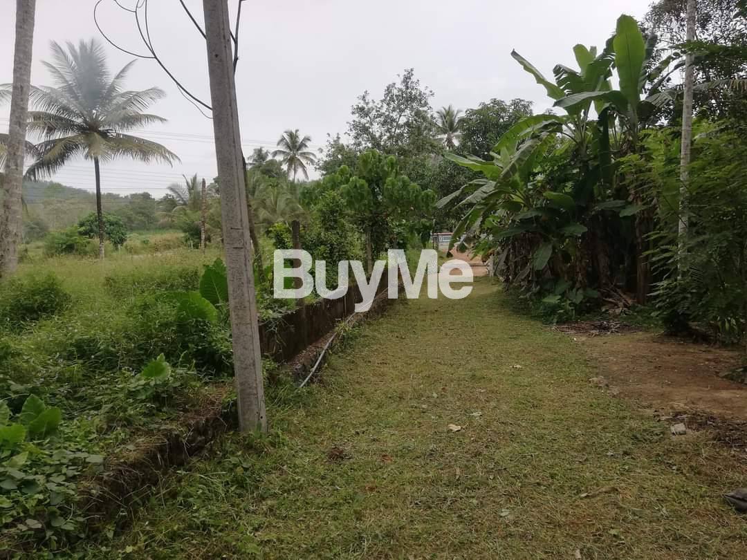 LAND FOR SALE IN PADUKKA MALAGALA