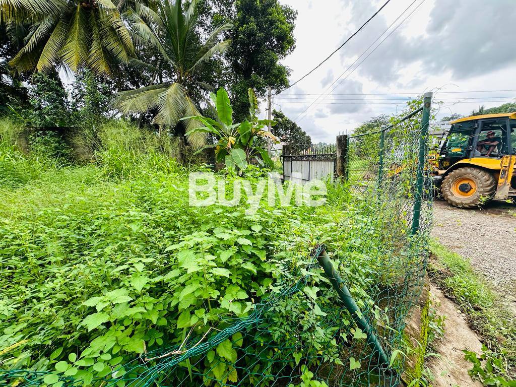 තලවතුගොඩ මීමන ගොඩ පාරෙන් ඉඩමක් විකිණීමට ඇත - (S119)