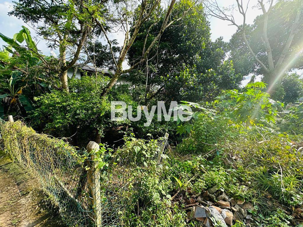 BARE LAND FOR SALE AT PELAWATTA POTHUARAWA ROAD - (S139)