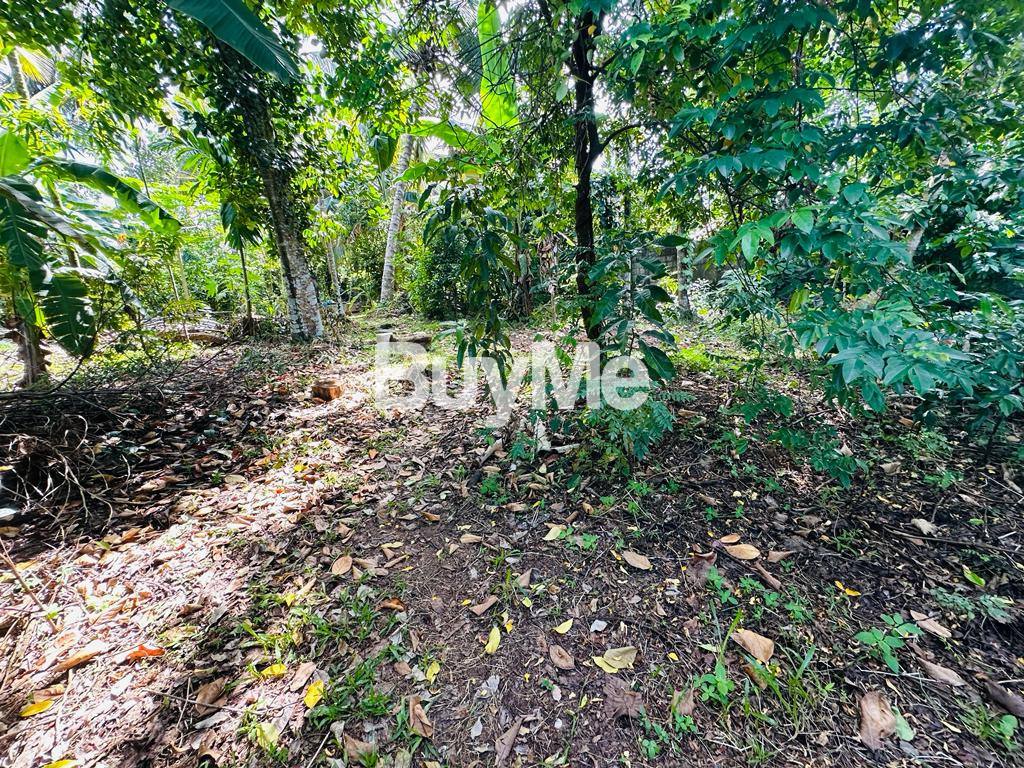 LAND FOR SALE IN THALAWATHUGODA - (S189)