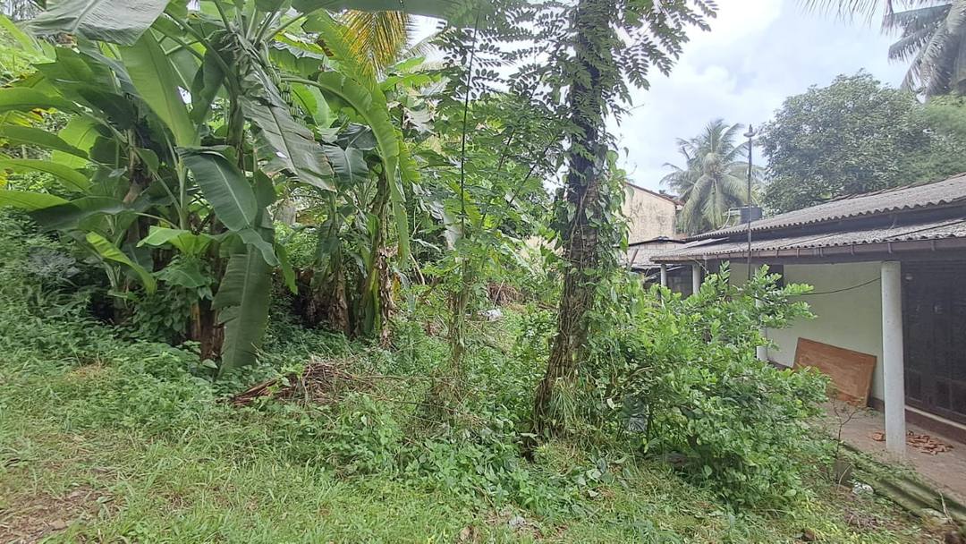 SIX PERCHES LAND FOR SALE IN PANNIPITIYA