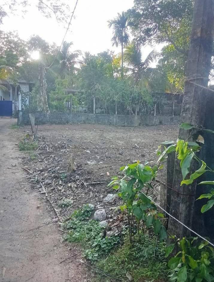 LAND FOR SALE IN MATARA