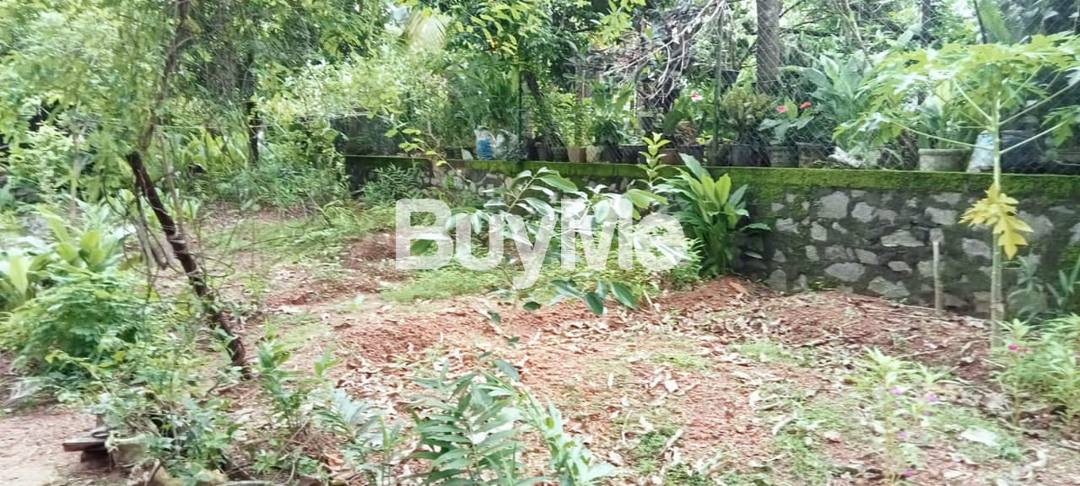 HOUSE FOR SALE IN PILIYANDALA