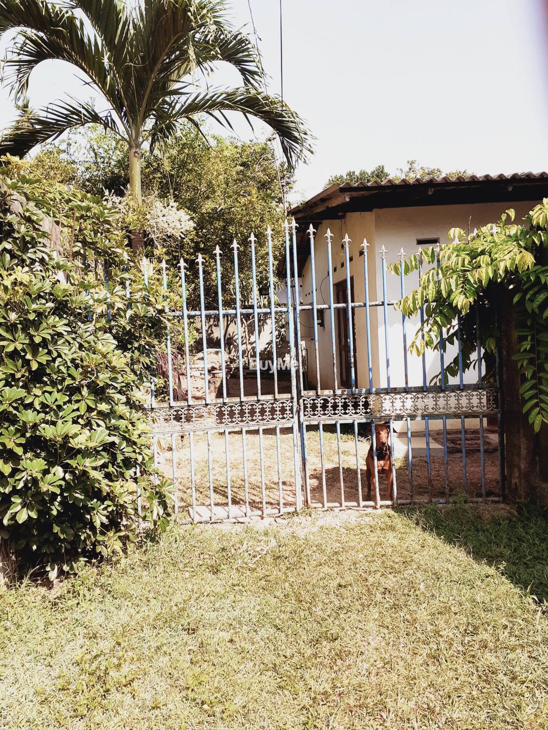 SINGLE STORY LUXURY HOUSE FOR SALE IN MADAPATHA