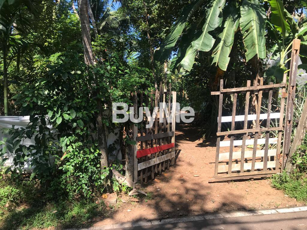 LAND FOR IMMEDIATE SALE IN RAGAMA