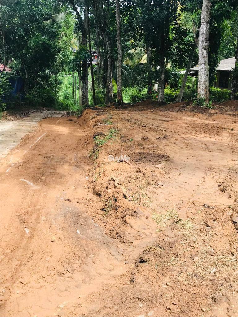 මහනුවර - හාරගමින් අගනා තැනිතලා ඉඩමක් ඉක්මණින් විකිණීමට