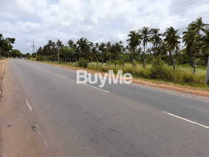 BARE LAND FOR SALE IN PUTTALAM DISTRICT (PUTTALAM_COLOMBO MAIN ROAD FACING)