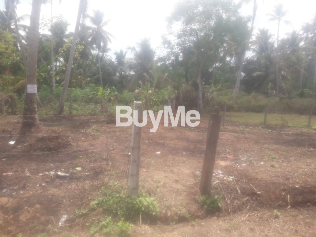 LAND FOR SALE IN MINUWANGODA POLWATTA