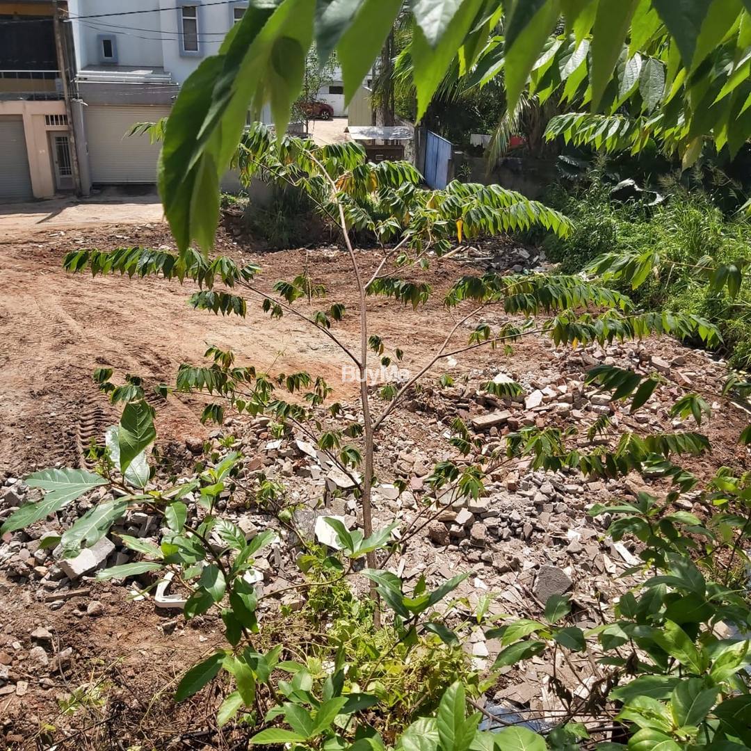 LAND FOR SALE IN NUGEGODA | C-1107