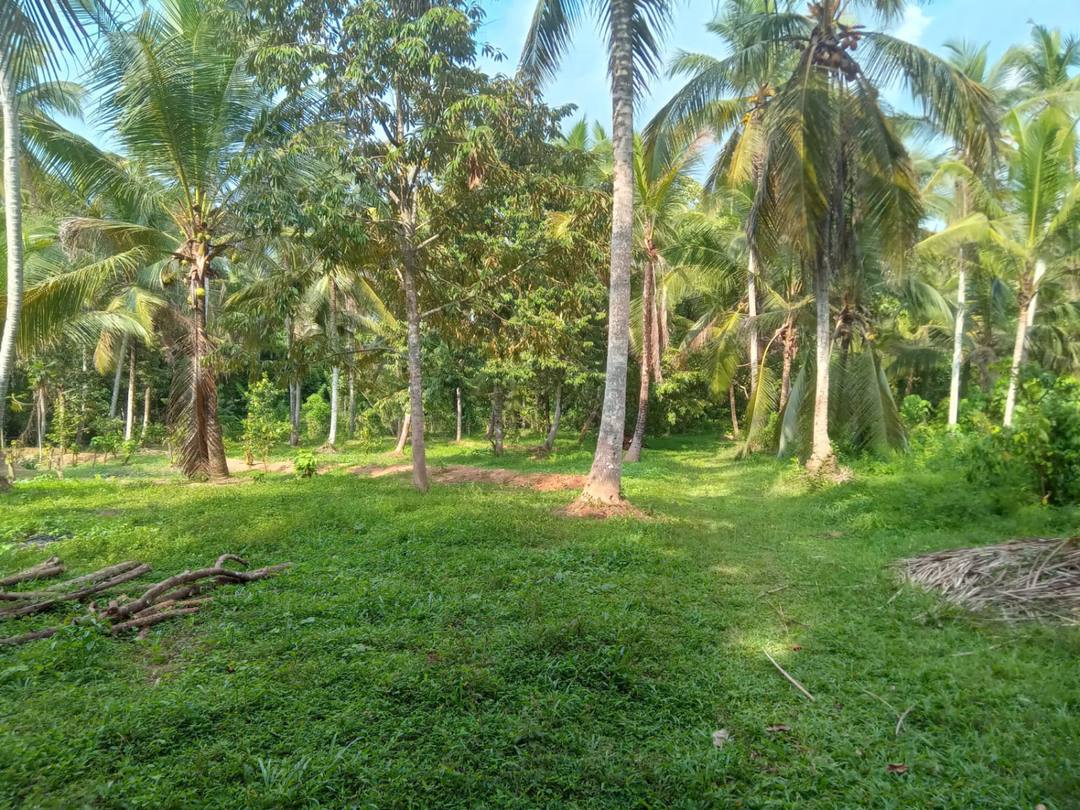 20-PERCH LAND FOR SALE IN VEYANGODA