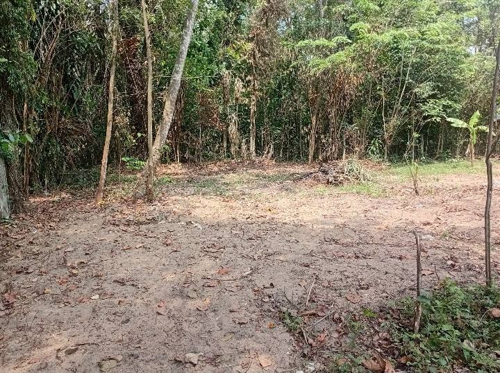 LAND FOR SALE IN KALAGEDIHENA