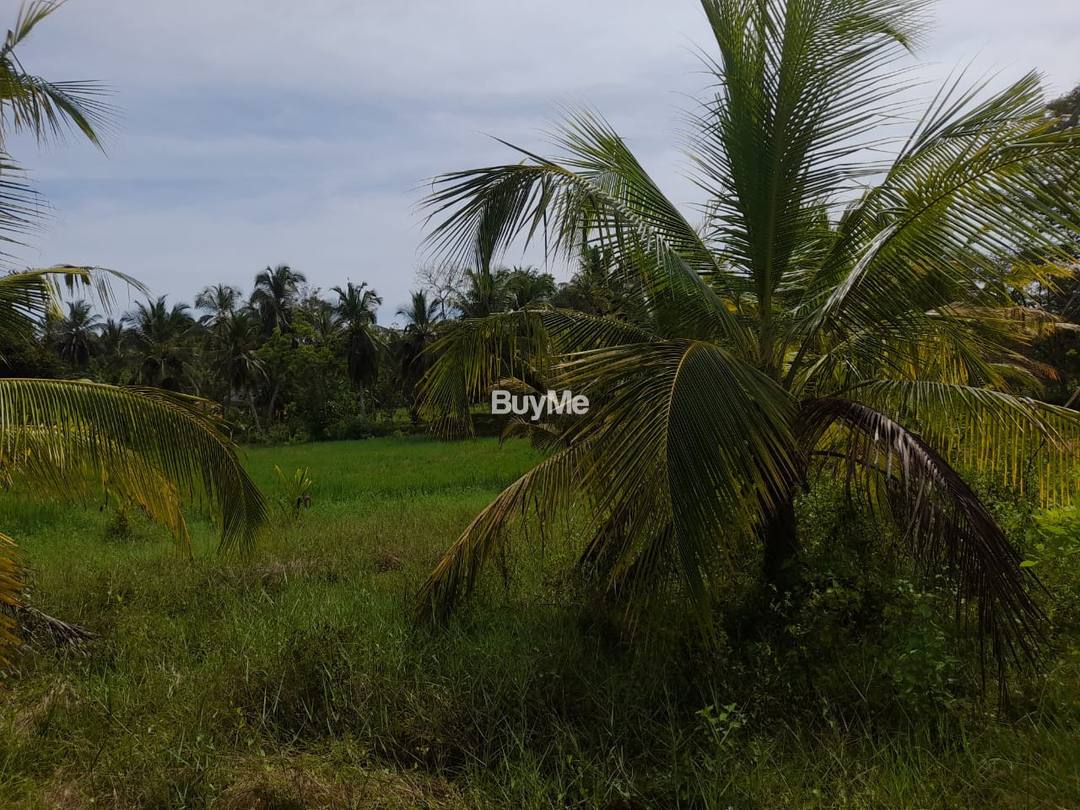LAND FOR SALE IN RANNA - KATTAKDUWA