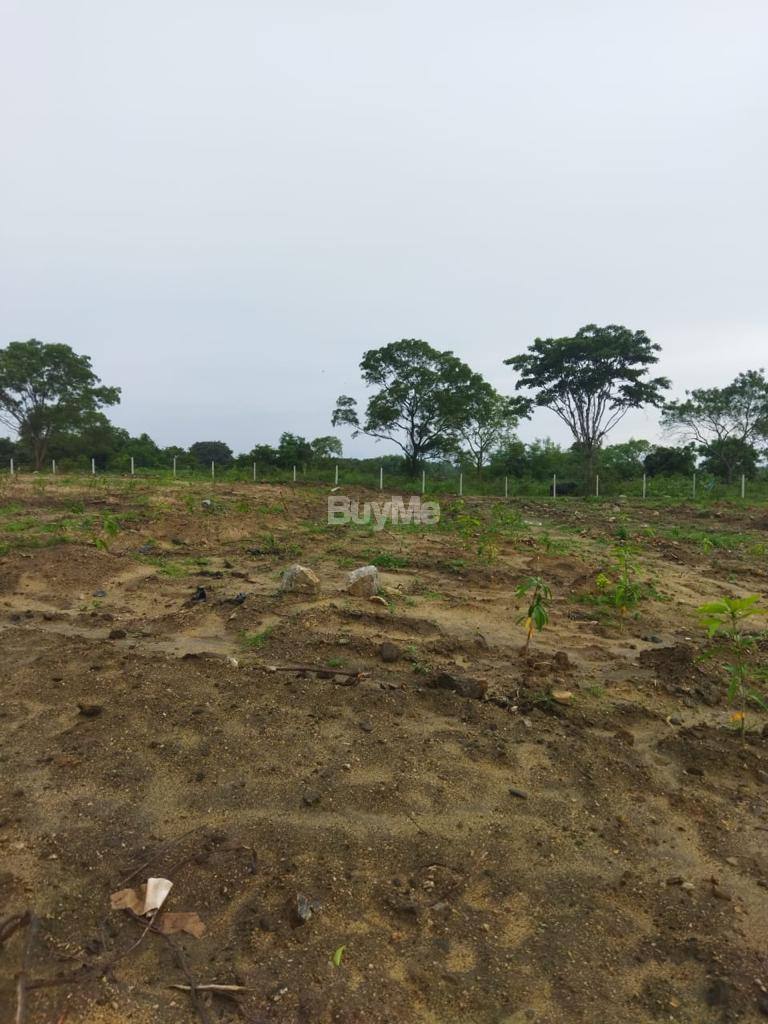 Agricultural land for sale