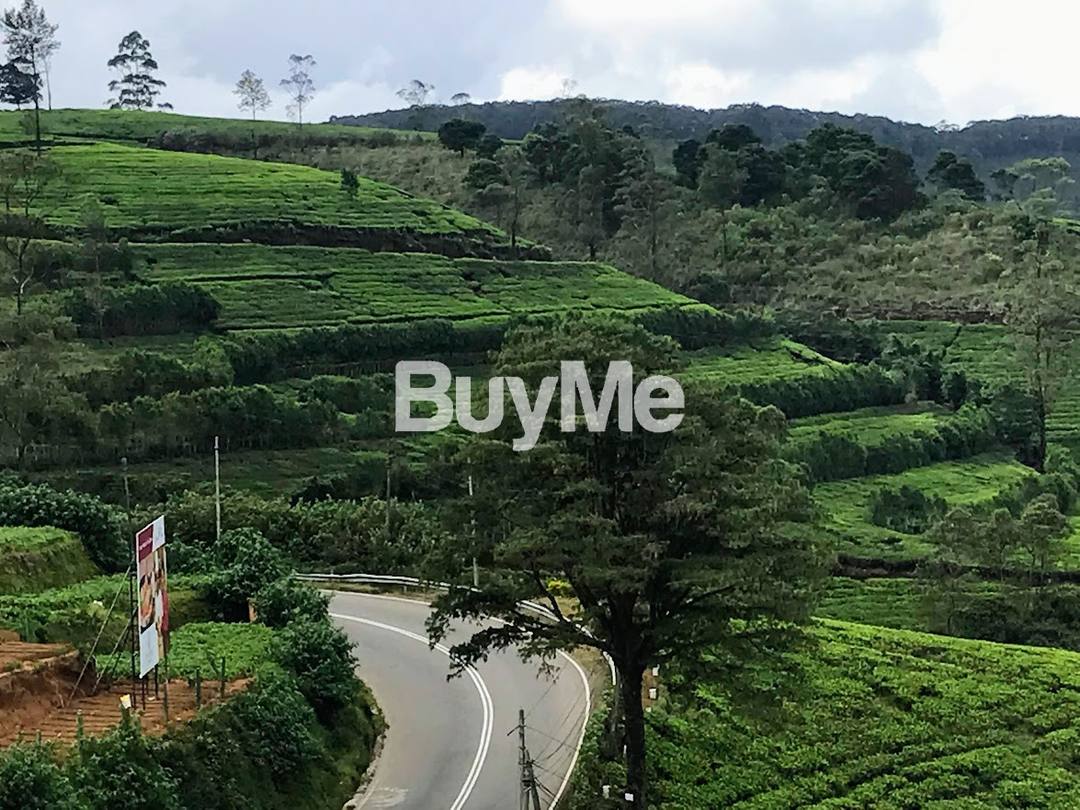 LAND FOR SALE - NUWARA ELIYA