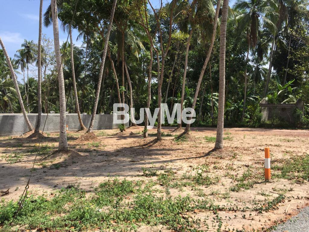 LAND FOR SALE IN KATUNAYAKE, ANDIAMBALAMA