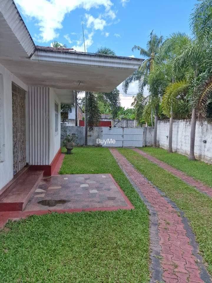 COMMERCIAL PURPOSE HOUSE FOR RENT IN WATTALA