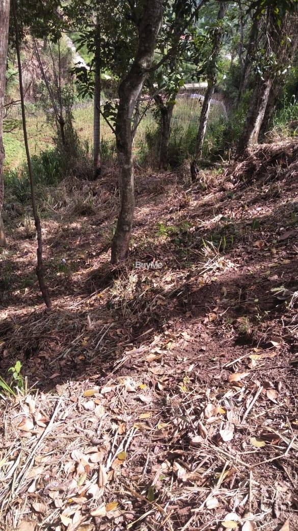 HIGH RESIDENTIAL LAND FOR SALE
