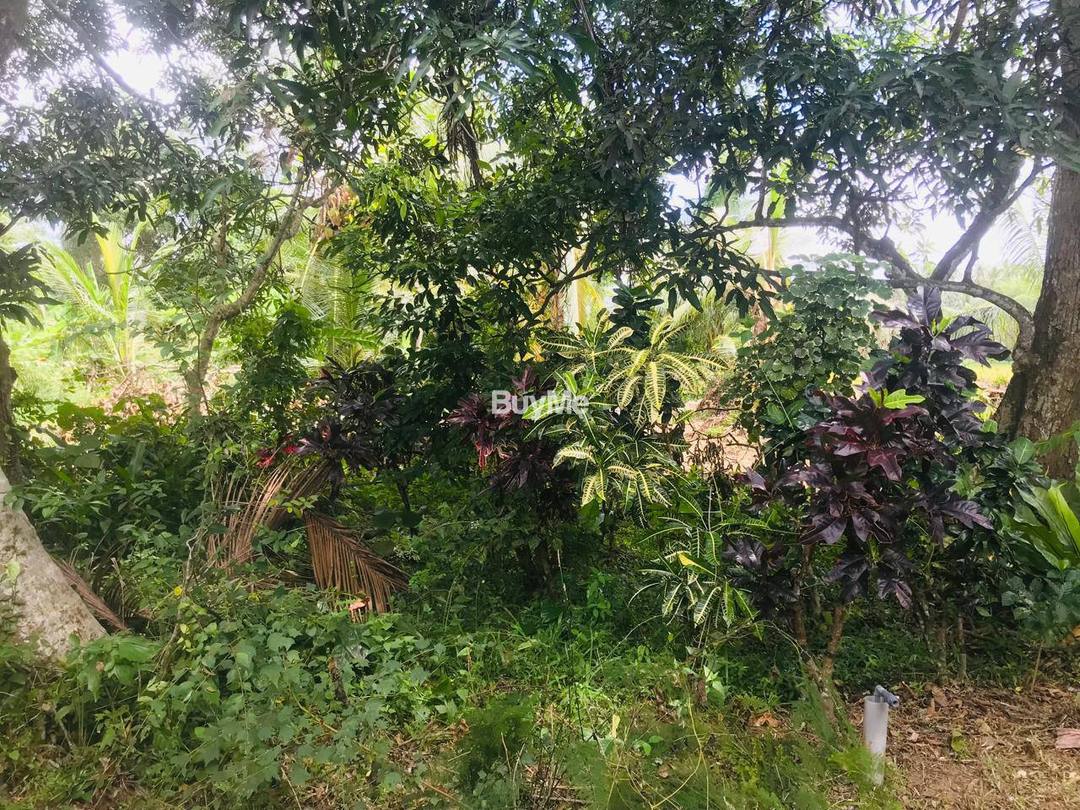 LAND AND HOUSE FOR SALE 240P