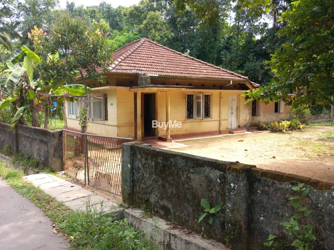 LAND FOR SALE WITH HOUSE IN ANGAMUWA
