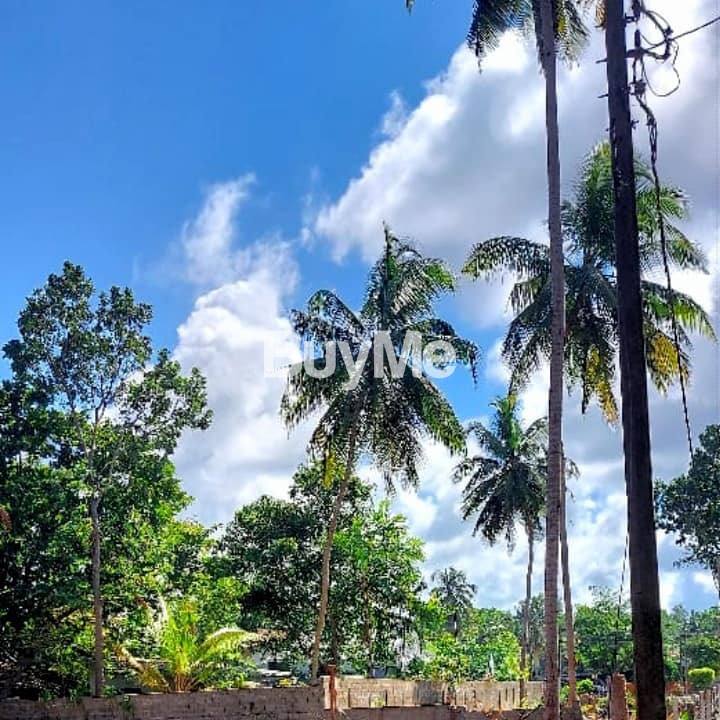 LAND FOR SALE IN BERUWALA